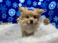 processed/0c404b3d-5619-4e88-8a87-1c29180c8378/listing/5bb9c6fa-2d3f-4202-bc9a-bc642f07be4d/f5985057-ff48-416b-861c-464c958e123b