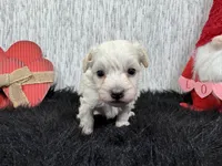 processed/0c404b3d-5619-4e88-8a87-1c29180c8378/listing/63c87503-29b9-4c86-982d-3c920df8aa66/289b4c14-9927-4fbd-9076-6624a364d8c5