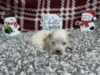 processed/0c404b3d-5619-4e88-8a87-1c29180c8378/listing/63c87503-29b9-4c86-982d-3c920df8aa66/4036aff1-4c2c-4609-8650-2caaef737032