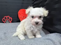 processed/0c404b3d-5619-4e88-8a87-1c29180c8378/listing/63c87503-29b9-4c86-982d-3c920df8aa66/790c65fd-817d-443e-8e9e-a4fe5b8b9c3d