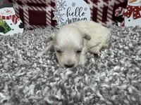 processed/0c404b3d-5619-4e88-8a87-1c29180c8378/listing/63c87503-29b9-4c86-982d-3c920df8aa66/b273ea35-2aec-4ec1-824a-fd1aadd757dd