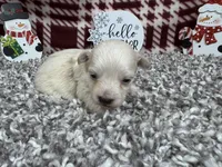 processed/0c404b3d-5619-4e88-8a87-1c29180c8378/listing/63c87503-29b9-4c86-982d-3c920df8aa66/fe5a53f1-3456-4989-87c8-1dc48c5d9ffd