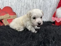 processed/0c404b3d-5619-4e88-8a87-1c29180c8378/listing/63c87503-29b9-4c86-982d-3c920df8aa66/ffc6f3a3-4360-45fc-9644-e669dfd52dfe