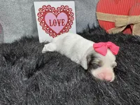 processed/0c404b3d-5619-4e88-8a87-1c29180c8378/listing/6918d928-dcb7-42ee-80c2-047707801560/24f53cd9-d9f4-4ecf-84d3-e47fa260958c