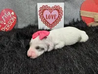 processed/0c404b3d-5619-4e88-8a87-1c29180c8378/listing/6918d928-dcb7-42ee-80c2-047707801560/290376fc-5617-43c3-b02c-153db735b4fa