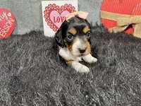 processed/0c404b3d-5619-4e88-8a87-1c29180c8378/listing/79c633b6-6649-4f40-989c-51cb3808b0a6/082560a6-11e4-456e-80c2-192ad5a675c2