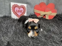 processed/0c404b3d-5619-4e88-8a87-1c29180c8378/listing/79c633b6-6649-4f40-989c-51cb3808b0a6/457744ed-30c9-4c97-a8ab-e0d4bd2a9c0b