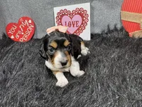 processed/0c404b3d-5619-4e88-8a87-1c29180c8378/listing/79c633b6-6649-4f40-989c-51cb3808b0a6/df2aa64a-42c8-459d-9206-52201b063ac2