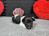 processed/0c404b3d-5619-4e88-8a87-1c29180c8378/listing/8e101e9e-df92-4318-9267-3b23d343b554/10a4459b-4f15-4f6a-a903-06da4bd970f8