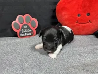 processed/0c404b3d-5619-4e88-8a87-1c29180c8378/listing/8e101e9e-df92-4318-9267-3b23d343b554/1935f0f9-7b1a-482b-9abe-9fd199364586