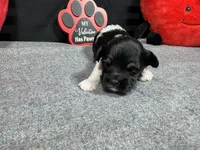 processed/0c404b3d-5619-4e88-8a87-1c29180c8378/listing/8e101e9e-df92-4318-9267-3b23d343b554/3e6361e7-bbf2-4e16-8923-d8176a9c5e91