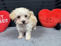 processed/0c404b3d-5619-4e88-8a87-1c29180c8378/listing/a23929a4-da15-4f7d-a20b-e5ea7e151414/05a92399-43ec-4836-ab27-b144816b2b01