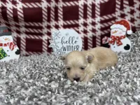 processed/0c404b3d-5619-4e88-8a87-1c29180c8378/listing/a23929a4-da15-4f7d-a20b-e5ea7e151414/a9e5f573-da05-4a15-8a90-ba436e81adec