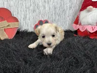 processed/0c404b3d-5619-4e88-8a87-1c29180c8378/listing/a23929a4-da15-4f7d-a20b-e5ea7e151414/d4ae3c01-8d2f-4152-a616-49752565a9a1