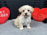 processed/0c404b3d-5619-4e88-8a87-1c29180c8378/listing/a23929a4-da15-4f7d-a20b-e5ea7e151414/daaff501-cbfe-4430-8a4f-c376f2b46bf1