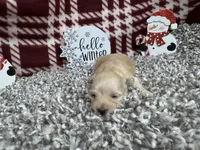 processed/0c404b3d-5619-4e88-8a87-1c29180c8378/listing/a23929a4-da15-4f7d-a20b-e5ea7e151414/dd5469df-bd53-4e76-89aa-ca7a1283e503