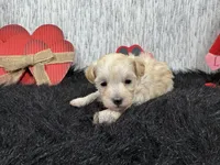 processed/0c404b3d-5619-4e88-8a87-1c29180c8378/listing/a23929a4-da15-4f7d-a20b-e5ea7e151414/e14753f0-0119-46fa-ad0e-1009aaee761b