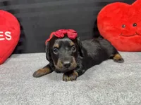 processed/0c404b3d-5619-4e88-8a87-1c29180c8378/listing/a3471109-b709-4ff1-a2dc-ae7937e15fe6/22313aa3-c0a8-4d7c-8727-41470504054c