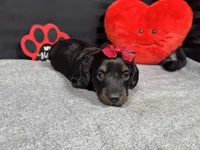 processed/0c404b3d-5619-4e88-8a87-1c29180c8378/listing/a3471109-b709-4ff1-a2dc-ae7937e15fe6/3bf6b649-fb1c-4b03-99b0-1d246215173f