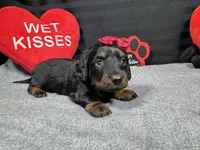 processed/0c404b3d-5619-4e88-8a87-1c29180c8378/listing/a3471109-b709-4ff1-a2dc-ae7937e15fe6/925432b0-acc1-4e9d-b1d9-d1b1480344a5