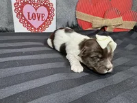 processed/0c404b3d-5619-4e88-8a87-1c29180c8378/listing/ad282a90-ba04-478a-92c9-4e16aa798240/fbbd79cd-8e38-484f-bffc-2a0fb3398f76