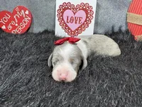 processed/0c404b3d-5619-4e88-8a87-1c29180c8378/listing/c335dbff-021e-48f6-b148-d934f445638d/395a65f2-69bb-4350-a9cd-57576e7b654a