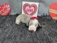 processed/0c404b3d-5619-4e88-8a87-1c29180c8378/listing/c335dbff-021e-48f6-b148-d934f445638d/79792c55-49a3-4016-bf7b-a6dec5a35f69