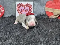 processed/0c404b3d-5619-4e88-8a87-1c29180c8378/listing/c335dbff-021e-48f6-b148-d934f445638d/c384c241-bfb1-4d63-9e0a-3c9dc0202418