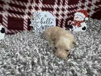 processed/0c404b3d-5619-4e88-8a87-1c29180c8378/listing/cad2d41e-85df-4df0-8403-a5f1f2c89ea0/0121f198-e058-489e-b8ed-7462b4a3e60f