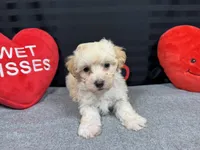 processed/0c404b3d-5619-4e88-8a87-1c29180c8378/listing/cad2d41e-85df-4df0-8403-a5f1f2c89ea0/2746c9ea-ff02-4c6f-99ab-007922275215