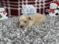 processed/0c404b3d-5619-4e88-8a87-1c29180c8378/listing/cad2d41e-85df-4df0-8403-a5f1f2c89ea0/568d4761-68ef-4fc5-bae1-8324e766e2d7