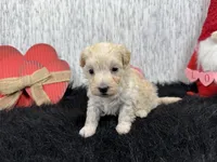 processed/0c404b3d-5619-4e88-8a87-1c29180c8378/listing/cad2d41e-85df-4df0-8403-a5f1f2c89ea0/c680896f-f817-4994-a2a7-bb8d787f81ff