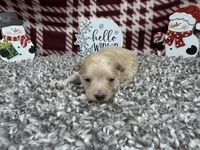 processed/0c404b3d-5619-4e88-8a87-1c29180c8378/listing/cad2d41e-85df-4df0-8403-a5f1f2c89ea0/cfd5451b-a764-414e-a18a-789131605ac3