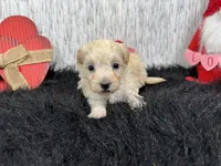 processed/0c404b3d-5619-4e88-8a87-1c29180c8378/listing/cad2d41e-85df-4df0-8403-a5f1f2c89ea0/de329e0d-cf0f-4a96-b45b-a90247e617d9