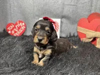 processed/0c404b3d-5619-4e88-8a87-1c29180c8378/listing/d6a0296e-a76d-41dd-8a34-b86bb2521c5b/4a397073-ddbd-490b-82ed-46c39399ce19