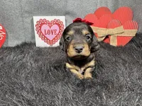 processed/0c404b3d-5619-4e88-8a87-1c29180c8378/listing/d6a0296e-a76d-41dd-8a34-b86bb2521c5b/5cf1d19e-3e83-4705-9a04-f153cfba293e