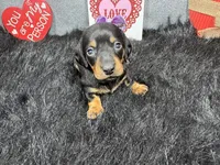 processed/0c404b3d-5619-4e88-8a87-1c29180c8378/listing/e985657c-6294-4109-be74-1ecfba350187/7f3f669f-94f7-4620-bc61-bb0b597fa4c4