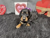 processed/0c404b3d-5619-4e88-8a87-1c29180c8378/listing/e985657c-6294-4109-be74-1ecfba350187/f1135be9-b929-4748-96c9-a68c74ea0f66