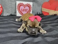 processed/0c404b3d-5619-4e88-8a87-1c29180c8378/listing/fea62252-c023-4422-a502-514e2a152d0a/261581ad-c2b7-4f5a-87ee-c800673fab46