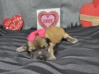 processed/0c404b3d-5619-4e88-8a87-1c29180c8378/listing/fea62252-c023-4422-a502-514e2a152d0a/31bfe927-7524-4797-b0e5-cd9cc6a164d6