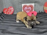 processed/0c404b3d-5619-4e88-8a87-1c29180c8378/listing/fea62252-c023-4422-a502-514e2a152d0a/5ee47c9f-2cf0-44db-9d37-b9ba3efcfbf2