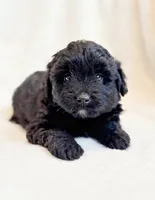 processed/0c430a24-2d92-4d8a-b8f8-9285ce1ba561/listing/685ff8b2-2dd5-4ea1-bde0-1c43f836e567/0992ad07-8a86-4332-a25f-ba9e1d68cd14