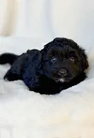 processed/0c430a24-2d92-4d8a-b8f8-9285ce1ba561/listing/685ff8b2-2dd5-4ea1-bde0-1c43f836e567/b5ad0350-cedb-4919-87ae-2d7f07fc1359