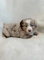 processed/0c430a24-2d92-4d8a-b8f8-9285ce1ba561/listing/69120fd7-467c-4514-bfc6-383f53225292/53108c64-53c7-4ed2-af91-89317736364b