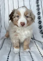 processed/0c430a24-2d92-4d8a-b8f8-9285ce1ba561/listing/69120fd7-467c-4514-bfc6-383f53225292/d7013bc2-294c-465c-8f17-26a0bc3ffa7a