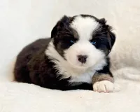 processed/0c430a24-2d92-4d8a-b8f8-9285ce1ba561/listing/9f3210ed-5684-43d9-8c4d-e44d90ce458d/3ae2872e-6b7d-41e9-8284-eda388f9e008