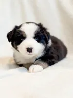 processed/0c430a24-2d92-4d8a-b8f8-9285ce1ba561/listing/9f3210ed-5684-43d9-8c4d-e44d90ce458d/aec8b546-2c21-448c-a3d7-0d5faec7839b