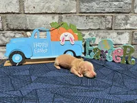 Jasper, a male Miniature Dachshund for sale in Paris, TX – Photo 5 of 8