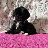 processed/0c431f10-5eaa-416a-8fc9-a8a6f345d2d6/listing/1c702b4a-1f2c-4ca3-a56e-76b06db5a800/070bc501-f137-4f0f-8095-965948cf587c