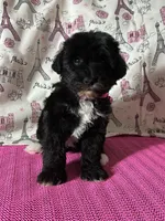 processed/0c431f10-5eaa-416a-8fc9-a8a6f345d2d6/listing/1c702b4a-1f2c-4ca3-a56e-76b06db5a800/4d065873-4ebc-4b82-b1d8-831184612f4c